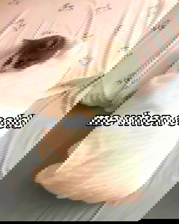 iamm3dusa image ~ Altpins