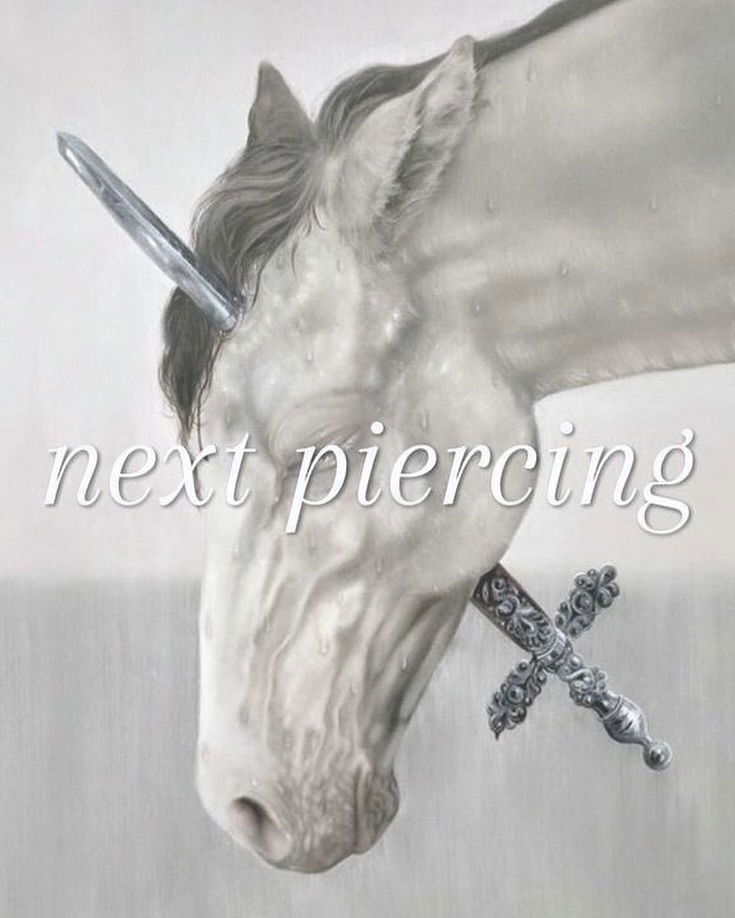 iamm3dusa instagram image archive image