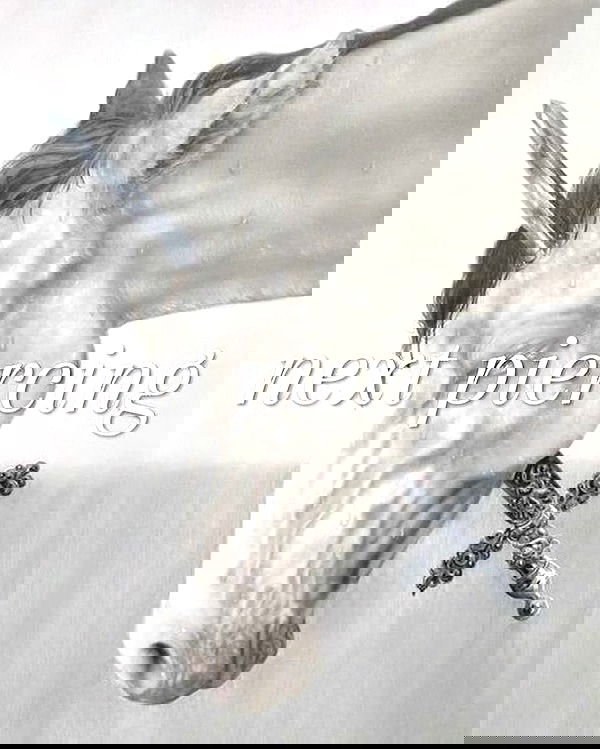 iamm3dusa image ~ Altpins