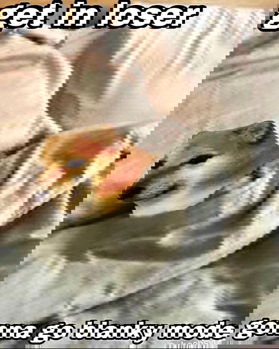 iamm3dusa image ~ Altpins