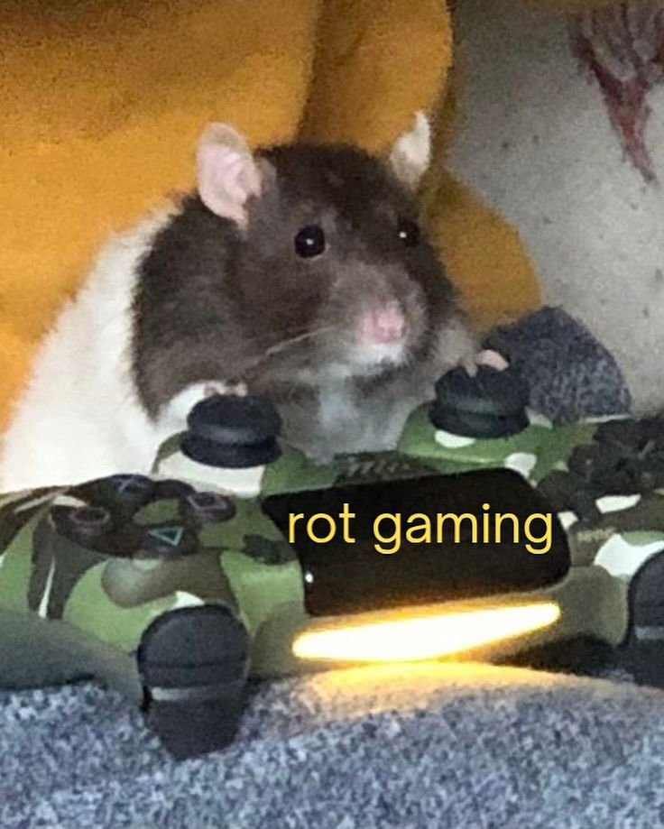 iamm3dusa instagram image archive image