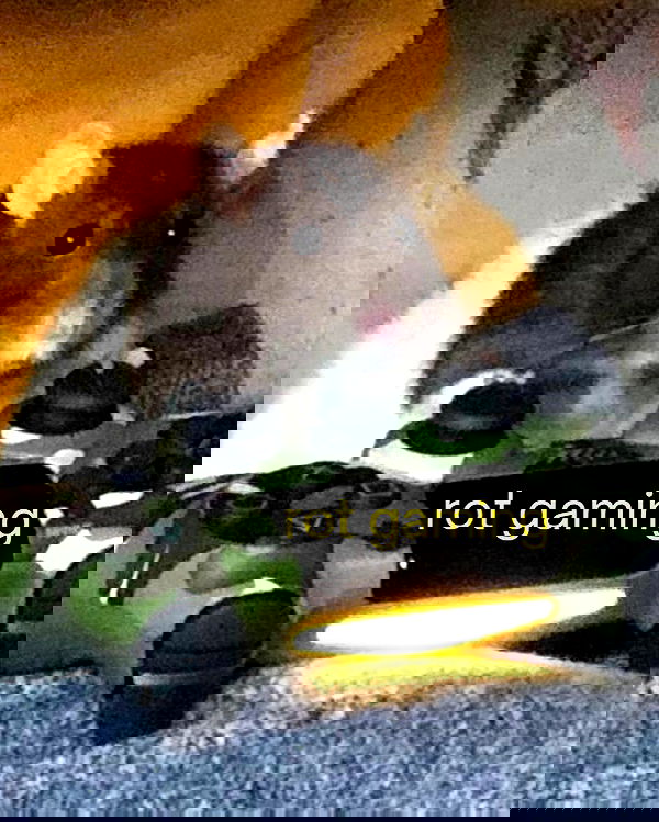 iamm3dusa image ~ Altpins