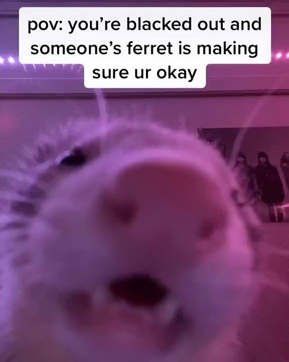 iamm3dusa instagram image archive image