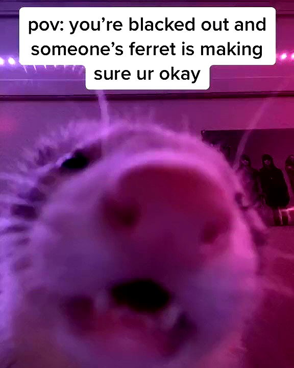 iamm3dusa image ~ Altpins