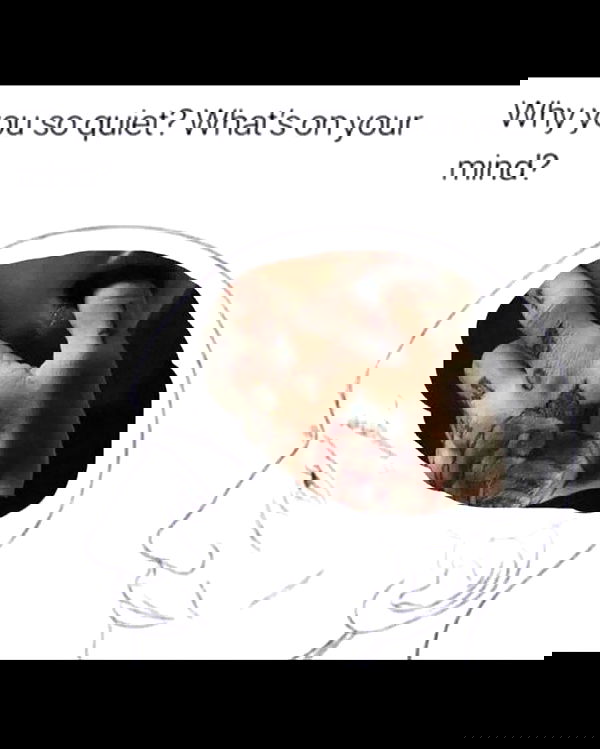 iamm3dusa image ~ Altpins