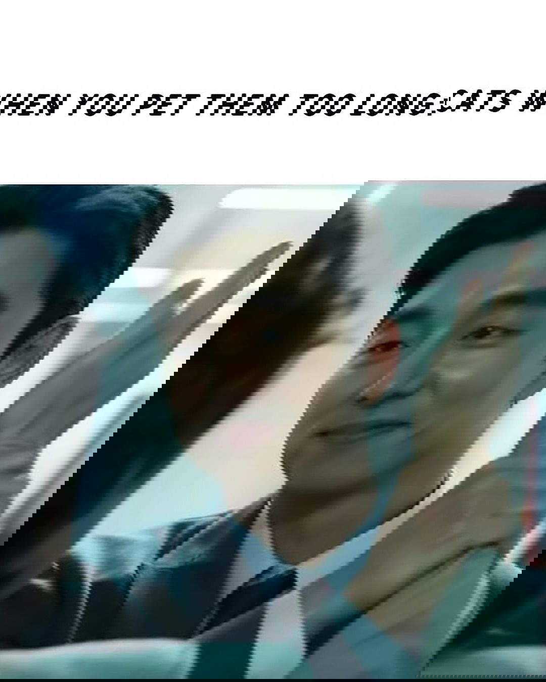 iamm3dusa instagram image archive image