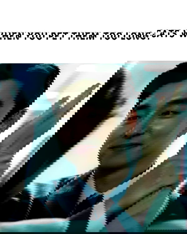 iamm3dusa image ~ Altpins