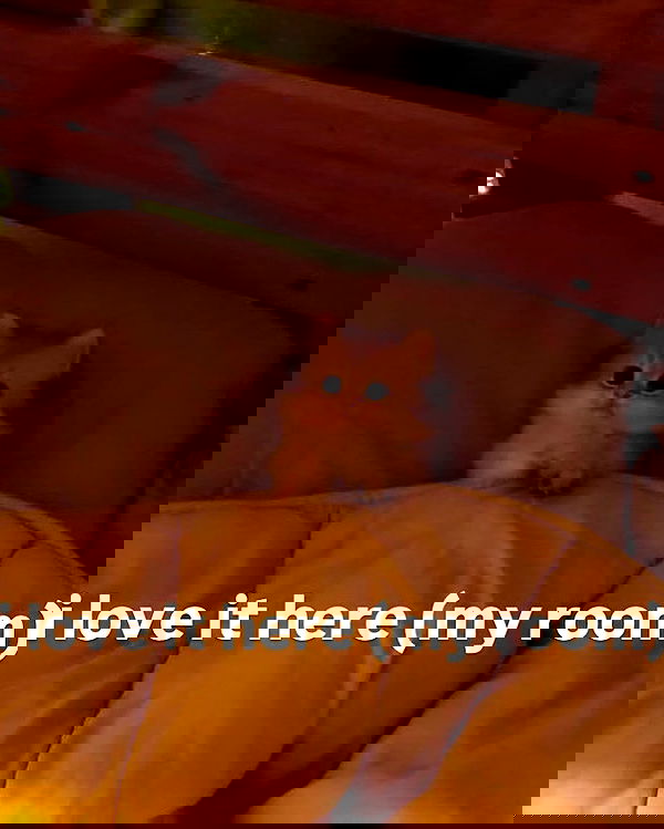 iamm3dusa image ~ Altpins