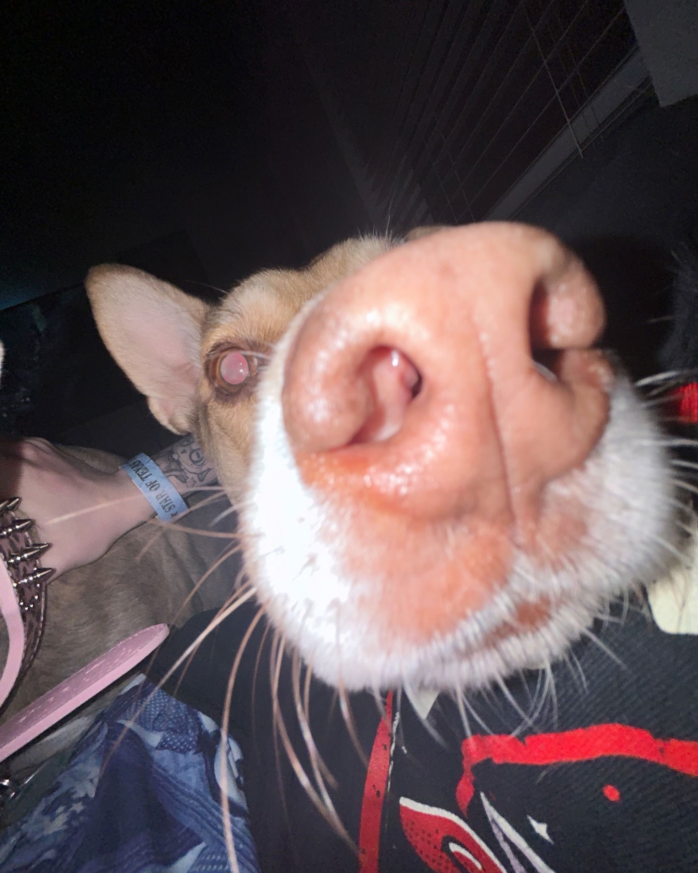 iamm3dusa instagram image archive image