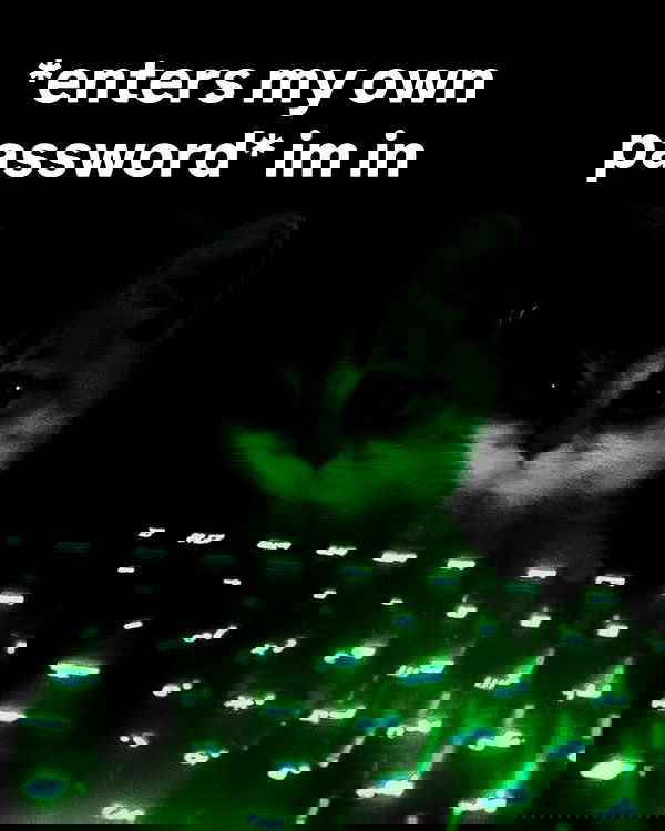 iamm3dusa image ~ Altpins