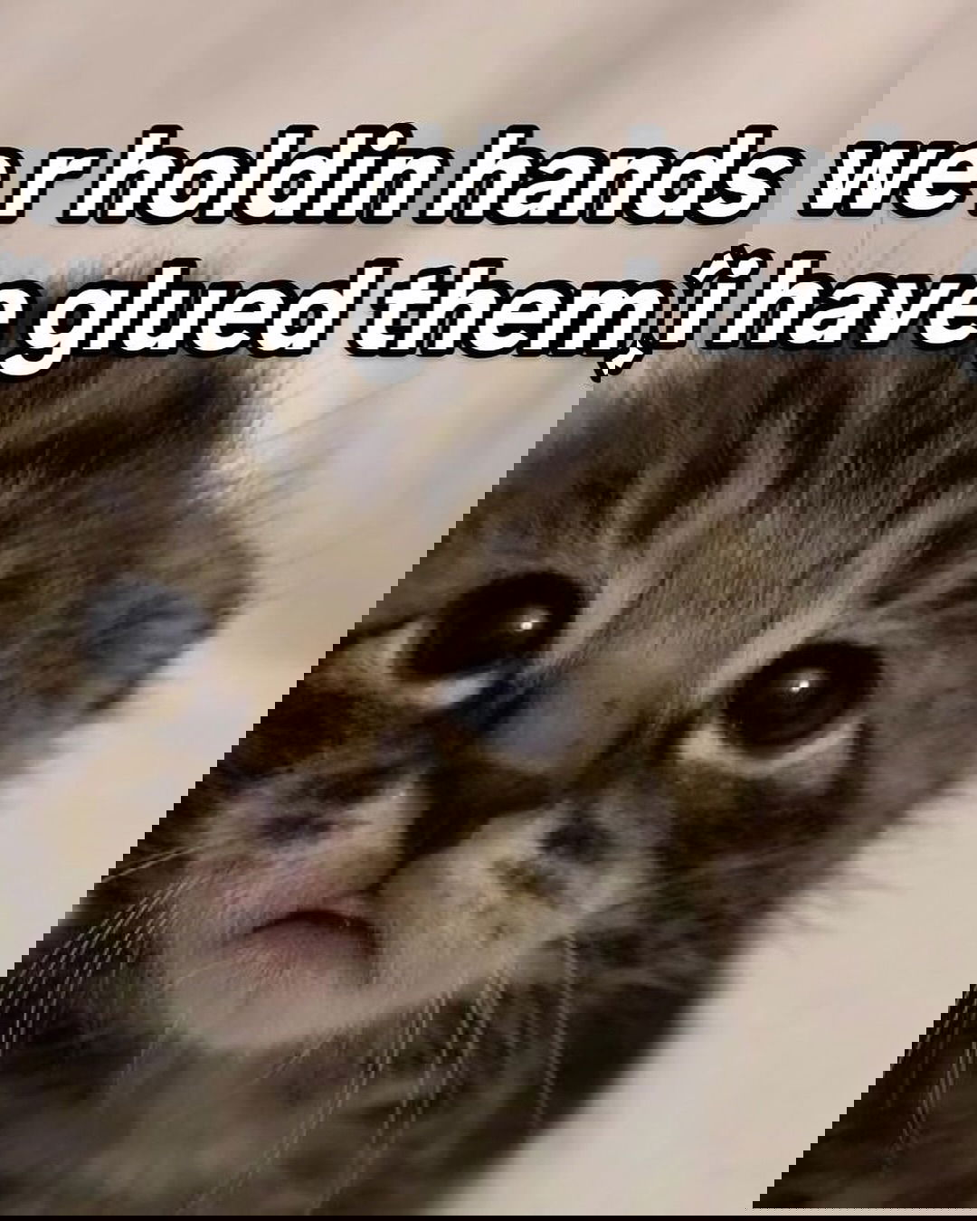 iamm3dusa instagram image archive image