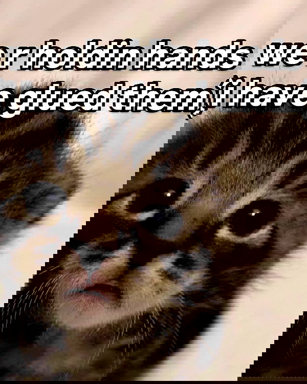 iamm3dusa image ~ Altpins