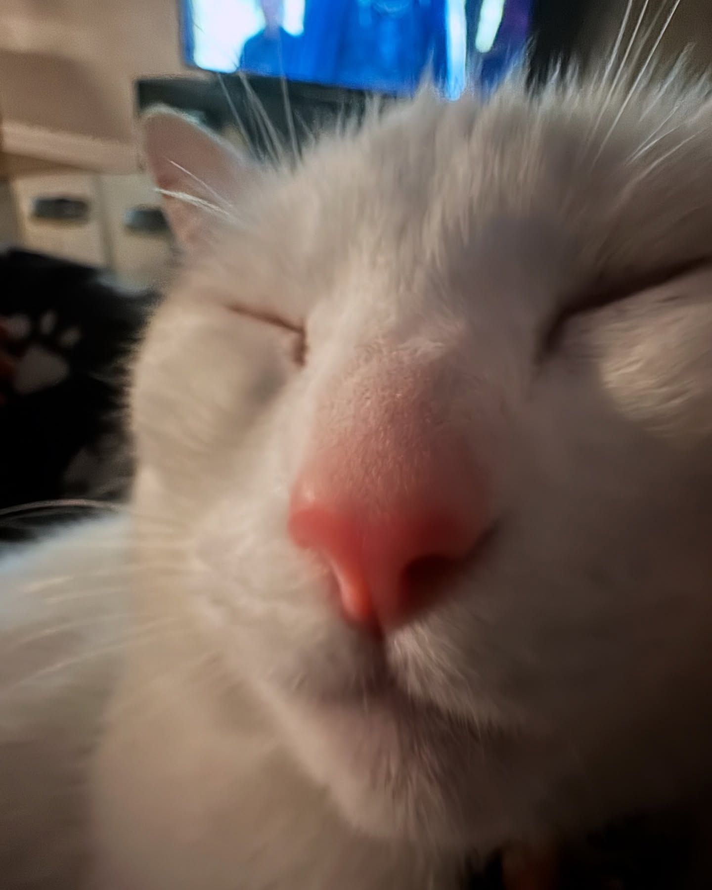 iamm3dusa instagram image archive image