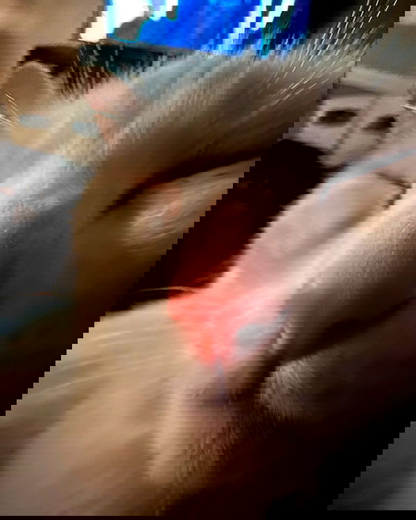 iamm3dusa image ~ Altpins