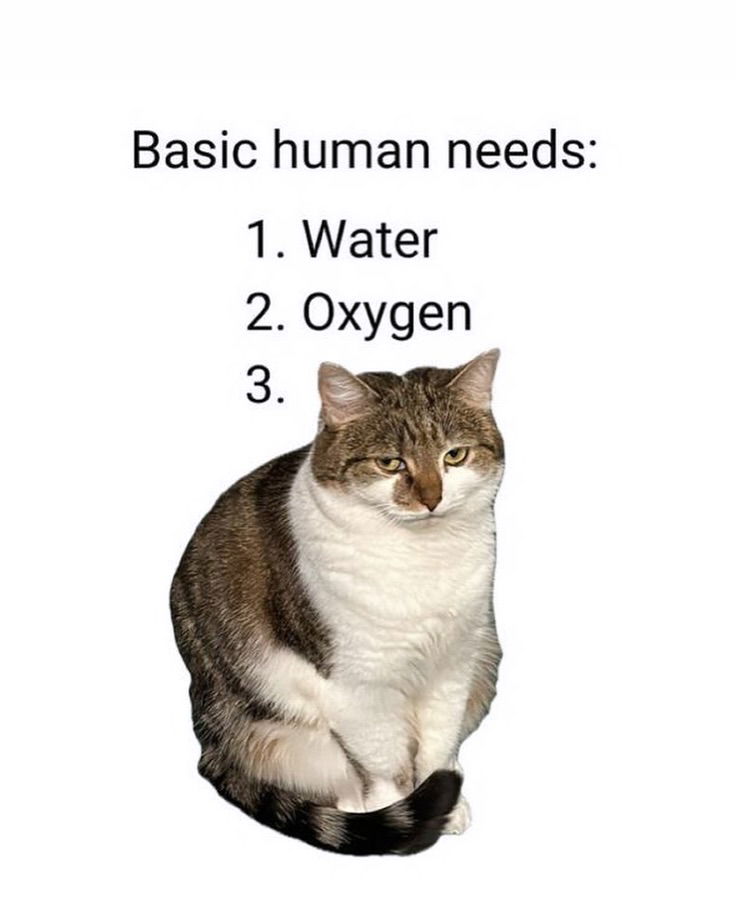 iamm3dusa instagram image archive image