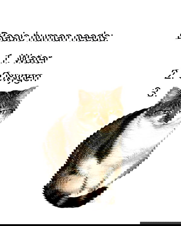 iamm3dusa image ~ Altpins