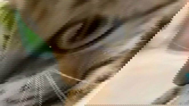 iamm3dusa instagram image archive image