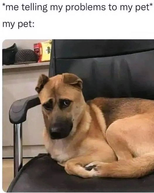 iamm3dusa instagram image archive image