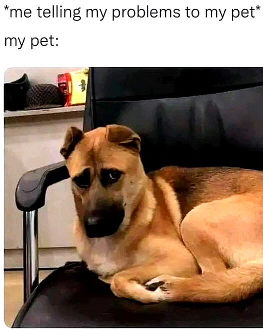 iamm3dusa image ~ Altpins