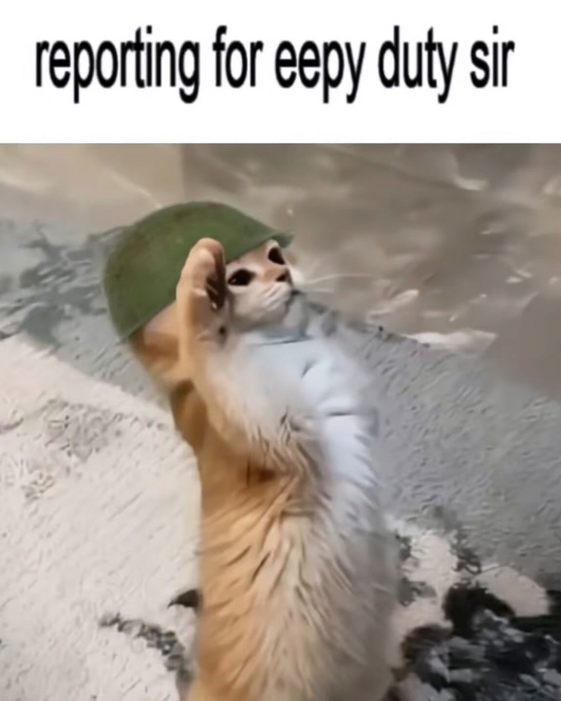 iamm3dusa instagram image archive image