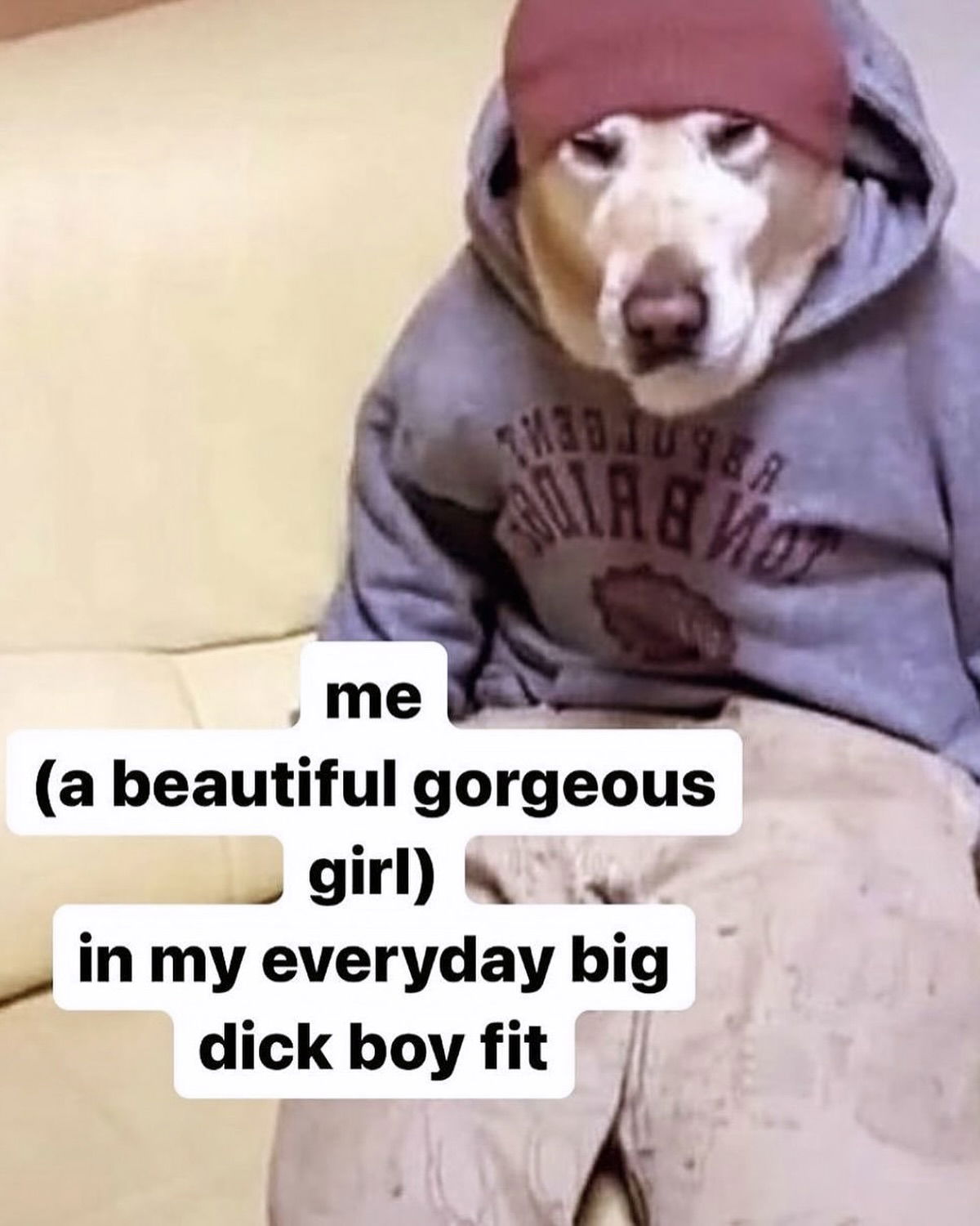 iamm3dusa instagram image archive image