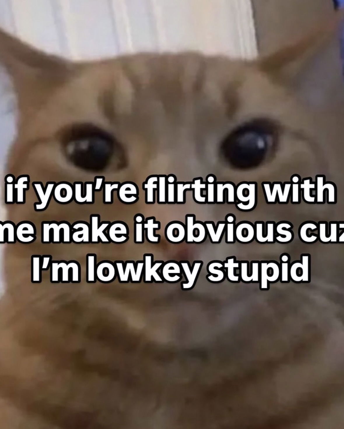 iamm3dusa instagram image archive image