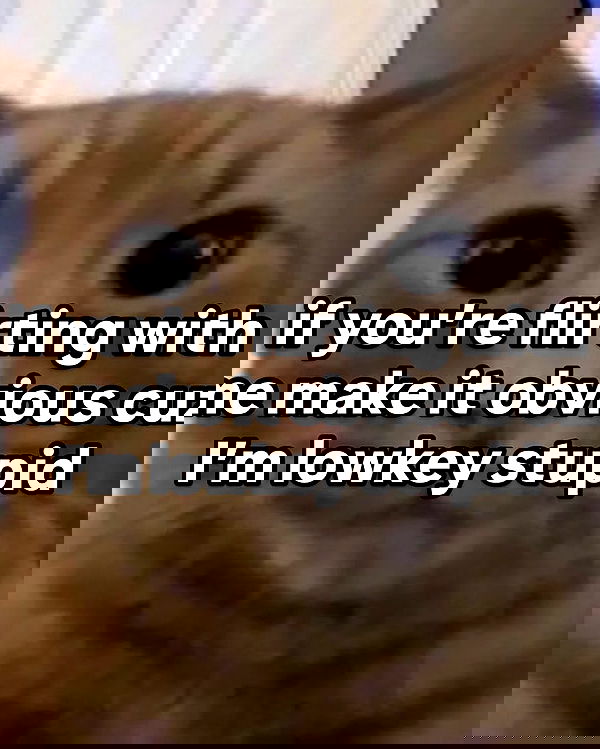 iamm3dusa image ~ Altpins