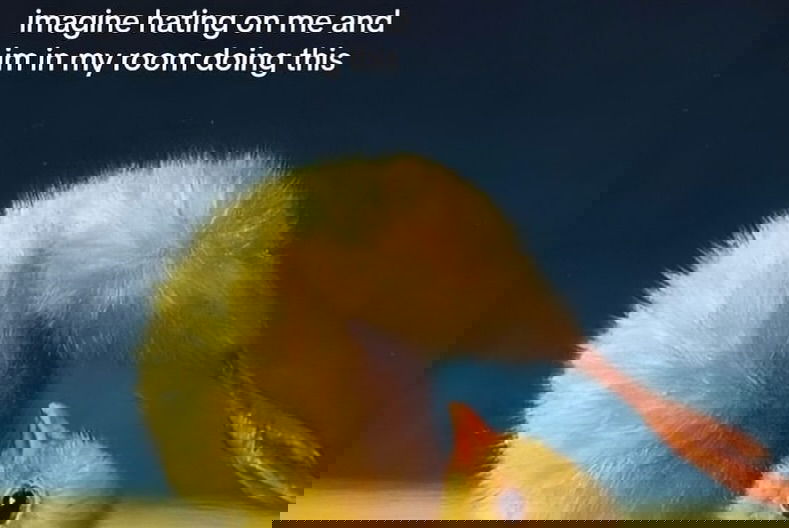 iamm3dusa instagram image archive image