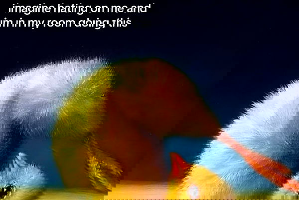 iamm3dusa image ~ Altpins