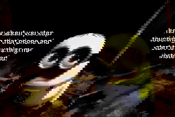 iamm3dusa image ~ Altpins