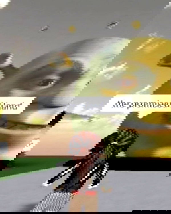 iamm3dusa image ~ Altpins