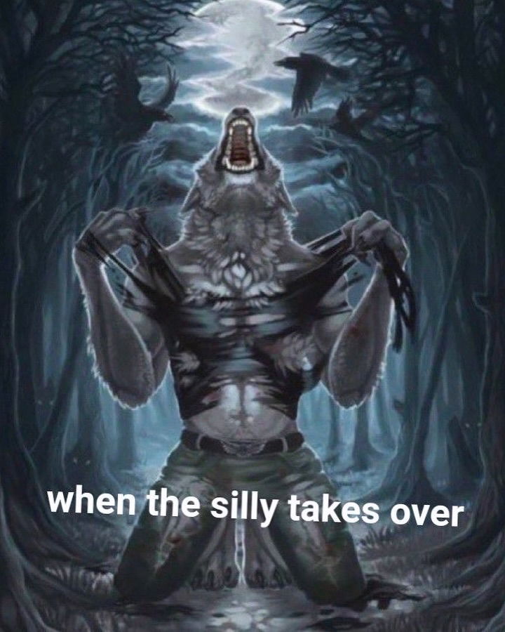 iamm3dusa instagram image archive image