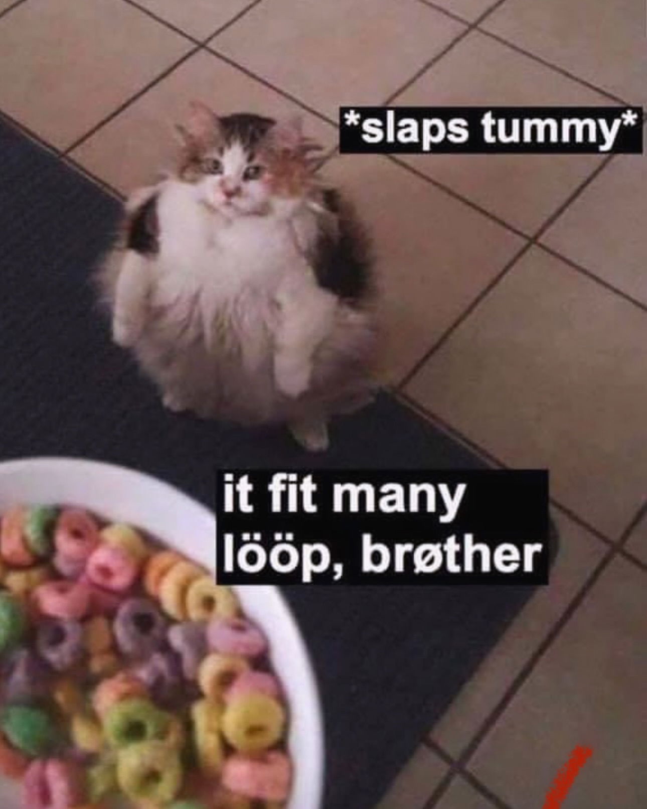 iamm3dusa instagram image archive image