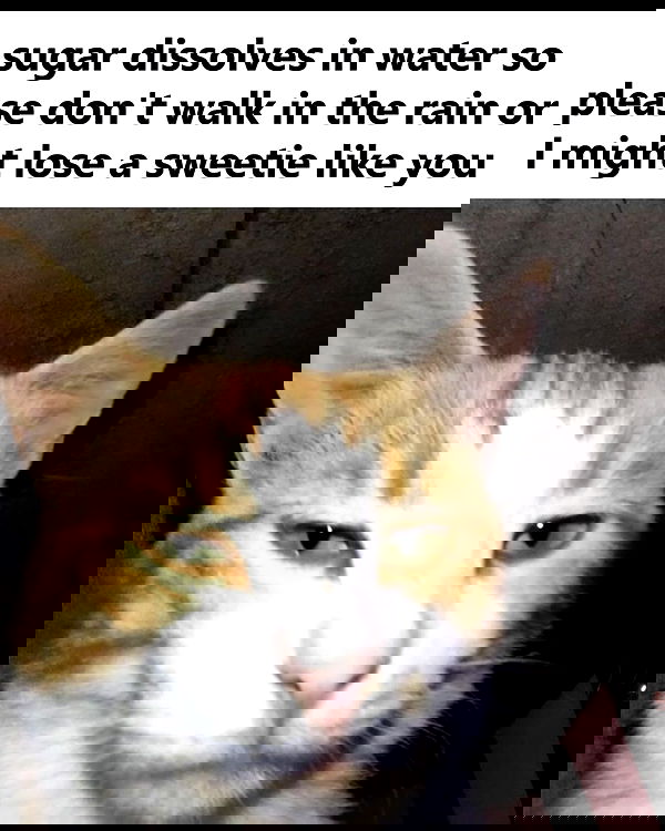 iamm3dusa image ~ Altpins