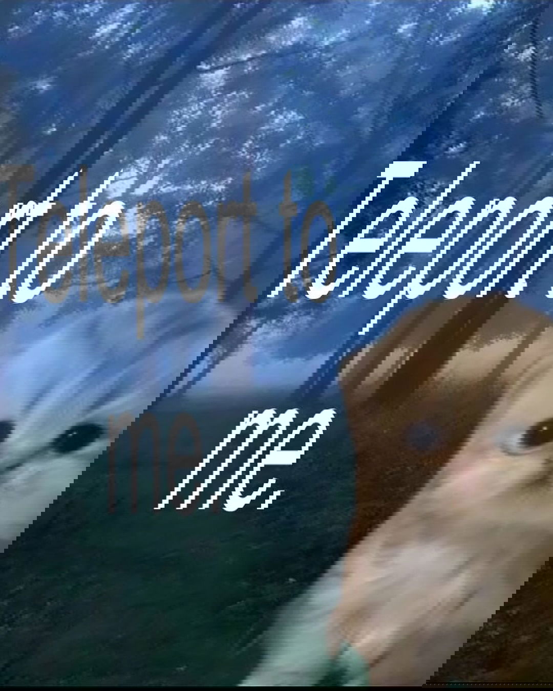 iamm3dusa instagram image archive image