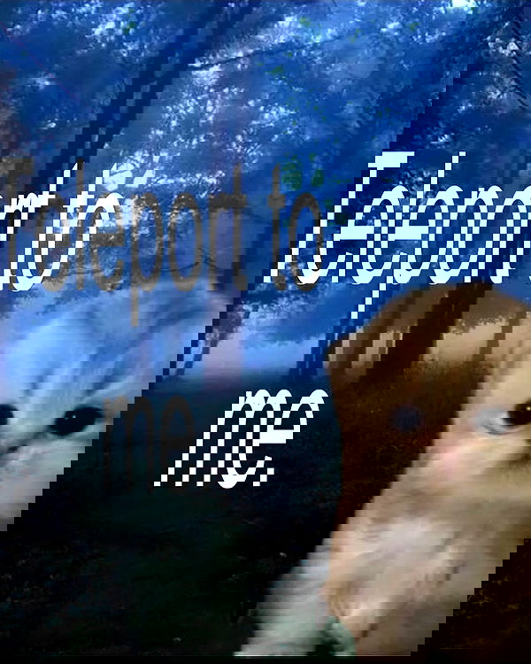 iamm3dusa image ~ Altpins