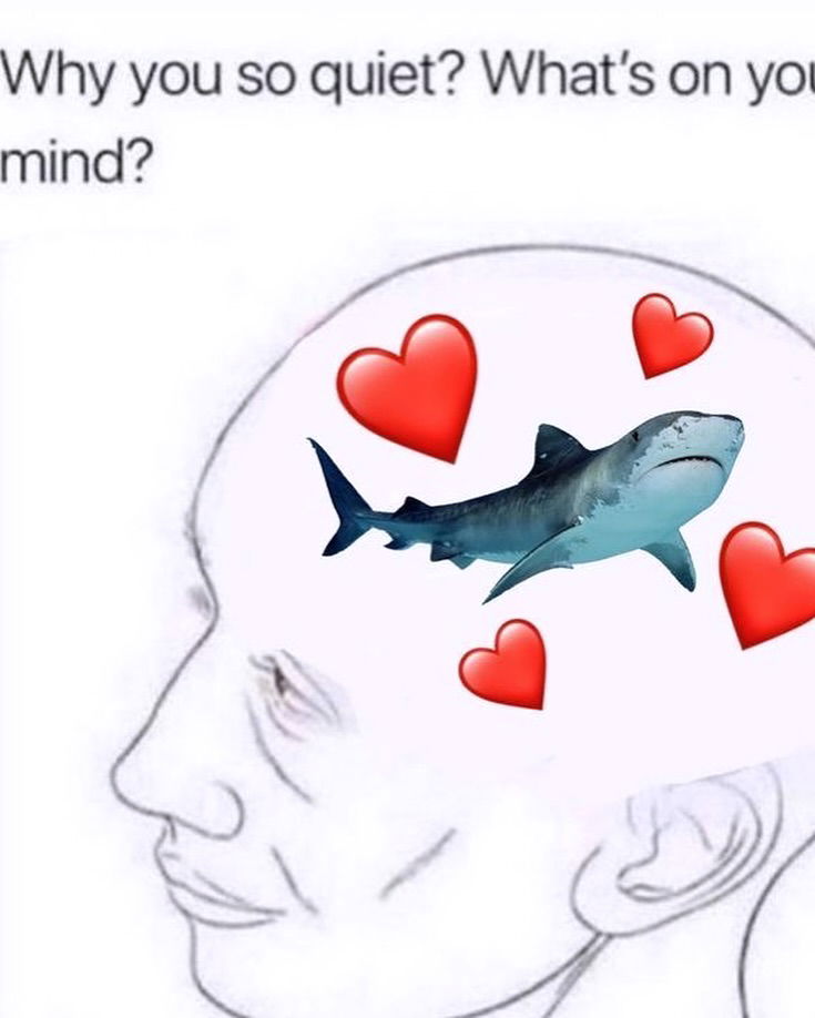 iamm3dusa instagram image archive image