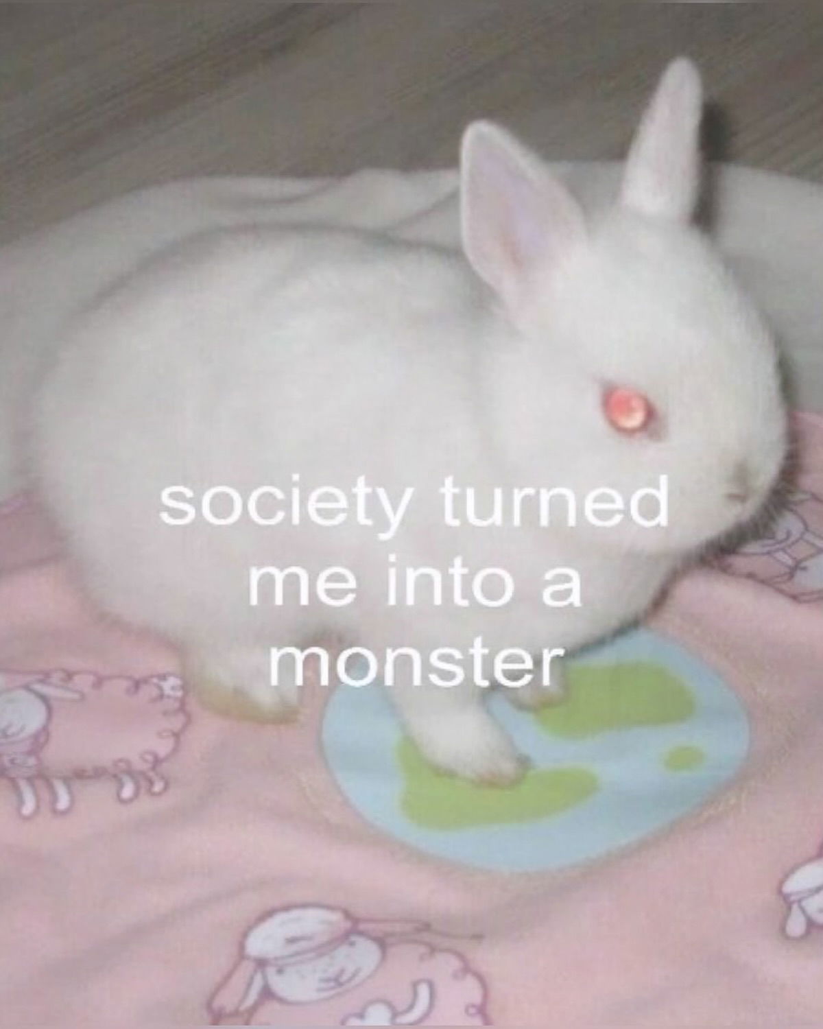 iamm3dusa instagram image archive image