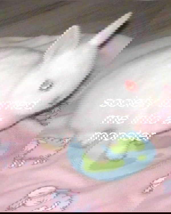 iamm3dusa image ~ Altpins