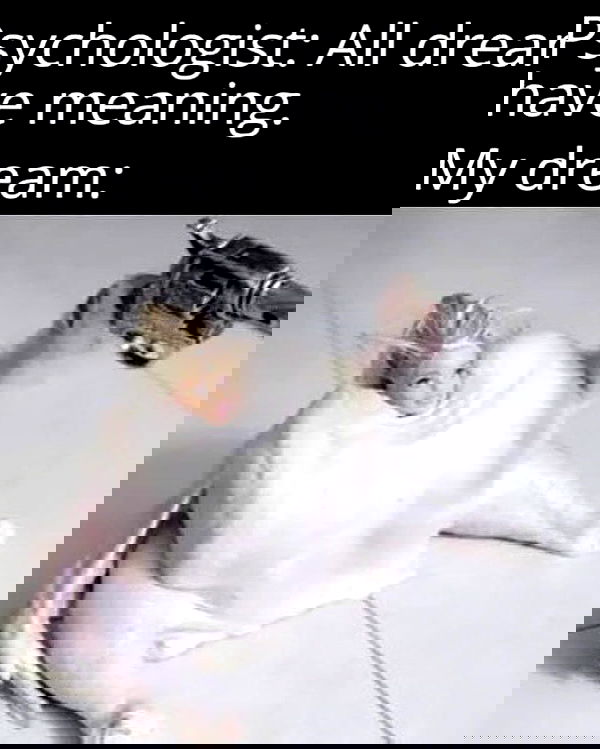 iamm3dusa image ~ Altpins