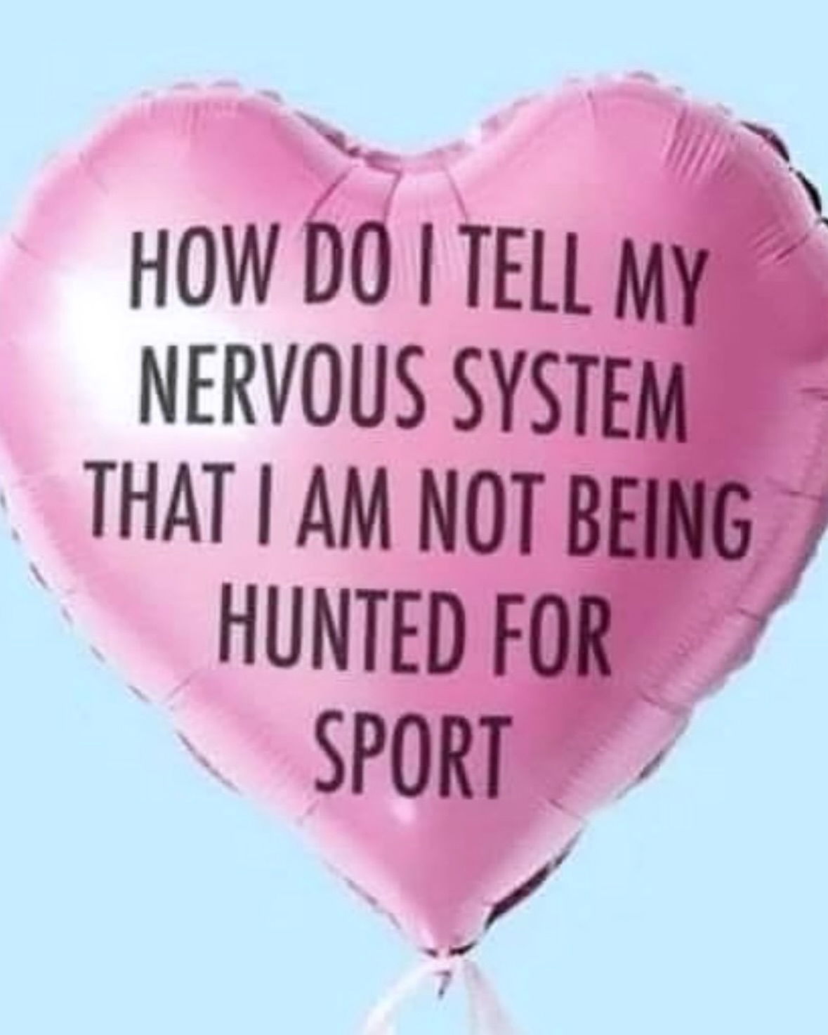 iamm3dusa instagram image archive image