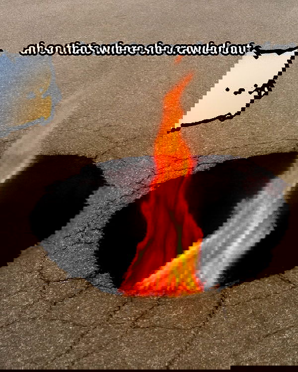 iamm3dusa image ~ Altpins