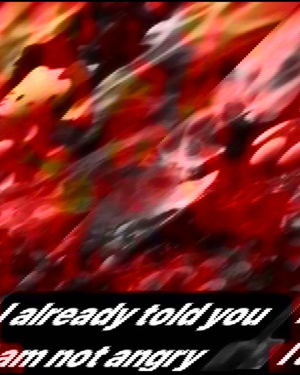 iamm3dusa instagram image archive image