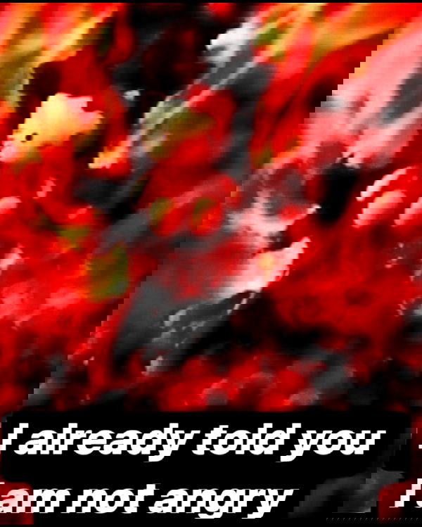 iamm3dusa image ~ Altpins