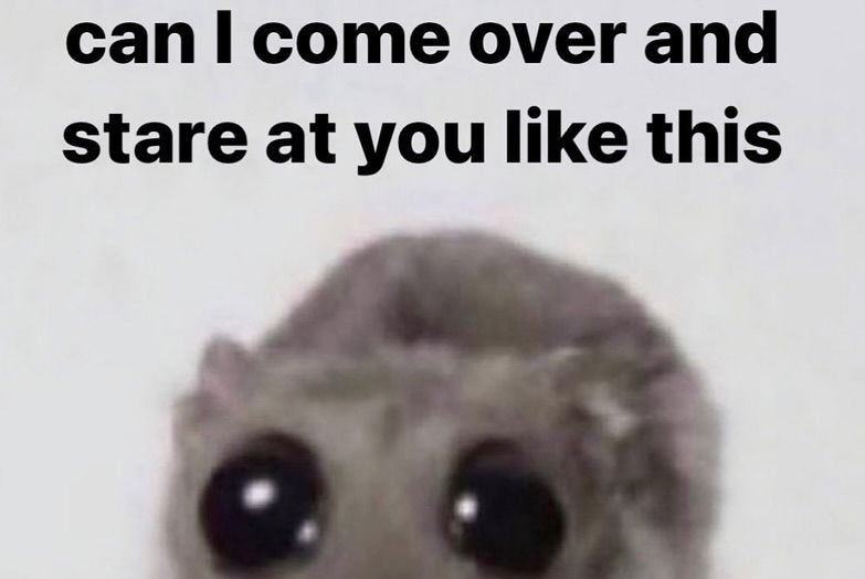 iamm3dusa instagram image archive image