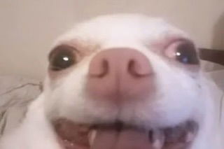 iamm3dusa instagram image archive image