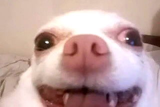 iamm3dusa image ~ Altpins