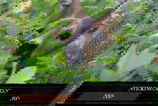 iamm3dusa instagram image archive image