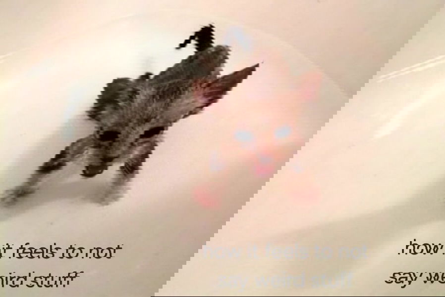 iamm3dusa instagram image archive image