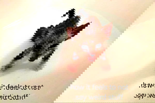 iamm3dusa image ~ Altpins